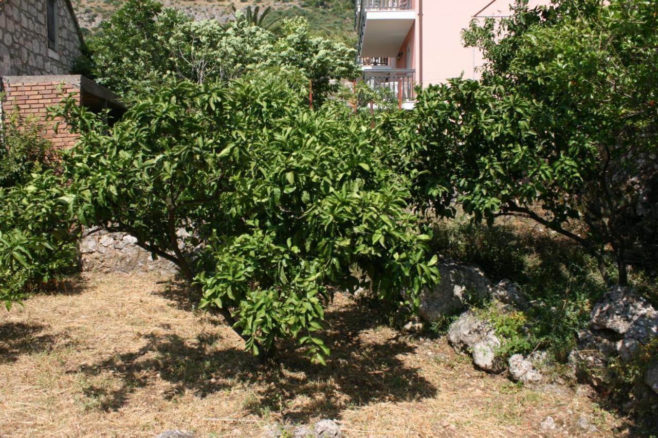 Apartments By The Sea Podaca, Makarska - 6874 Extérieur photo